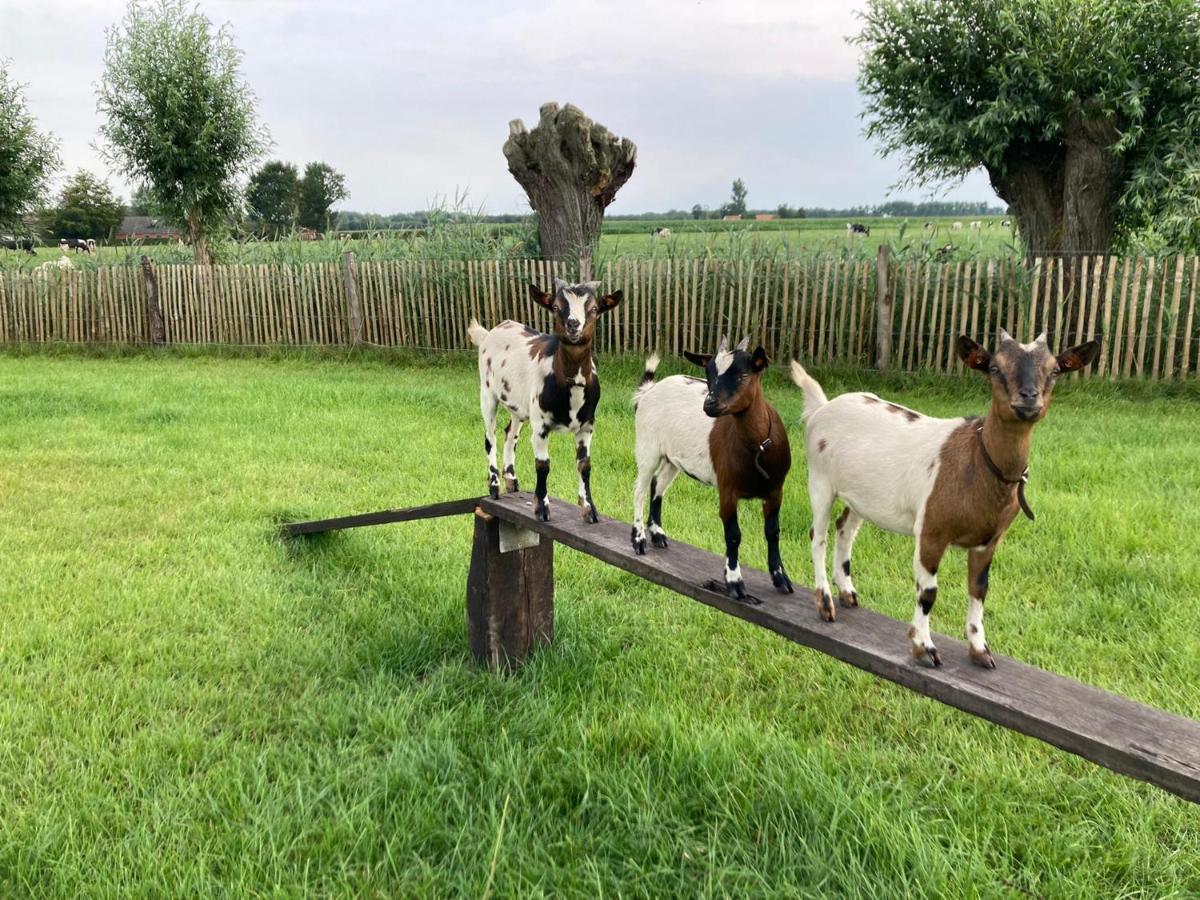 De Burkelhoeve App.B Maldegem Exterior photo